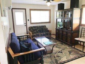Smart TV, DVD player, books, video library
