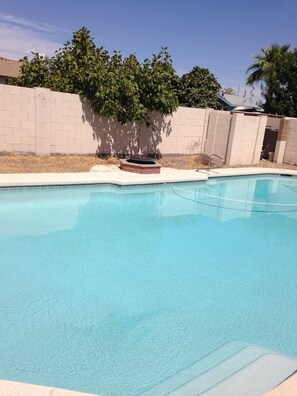 Outdoor pool - Cozy, Clean, Beautiful 5 Star reviews home.  A Quiet Gem! (Phoenix)