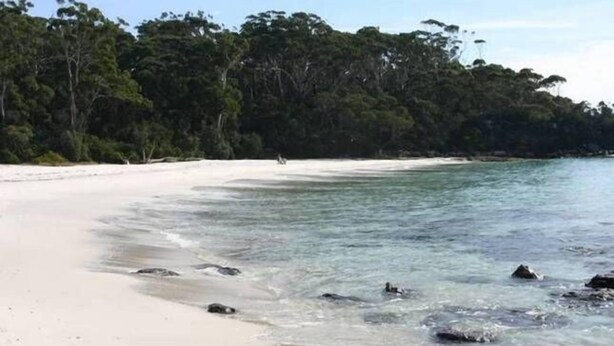 A beach with clear water, white sand, and dense green foliage in the background.