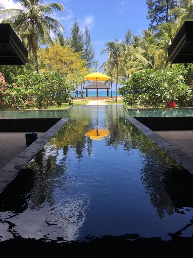 Un área de piscina tranquila con una vista despejada del océano, rodeada de exuberante vegetación y palmeras.