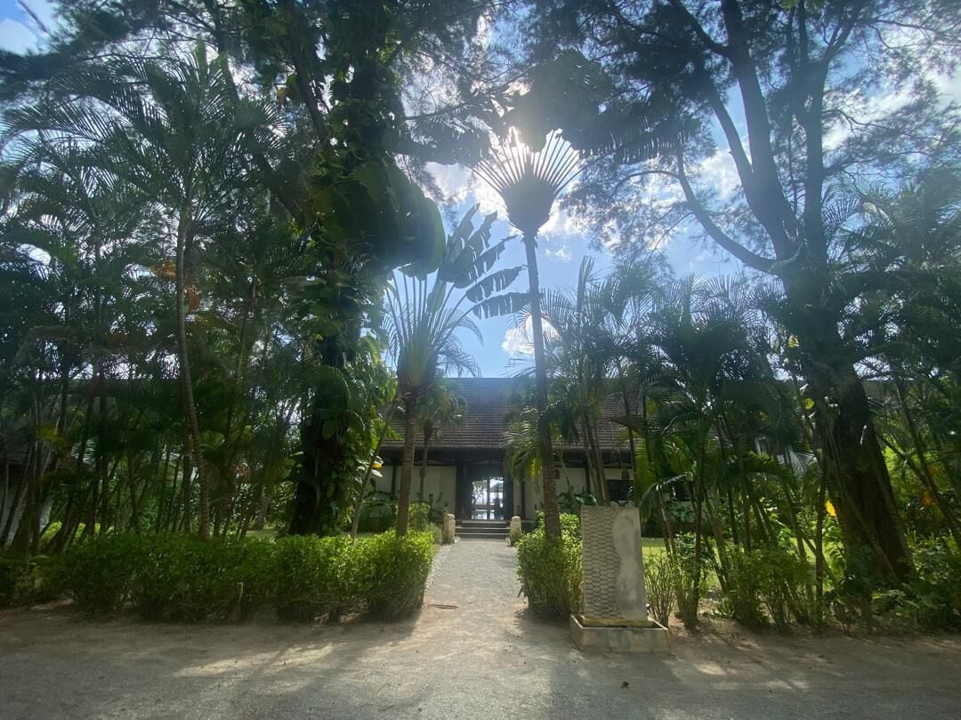 Un sentier menant à un bâtiment entouré d’une végétation tropicale luxuriante.
