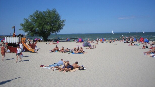 Een strand met mensen die zonnebaden, een grote boom en zeilboten in de verte.