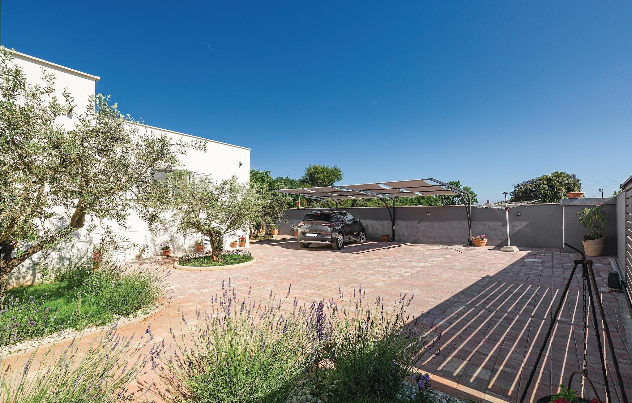 Zona residencial con camino de entrada pavimentado, un coche estacionado y un jardín con diversas plantas.