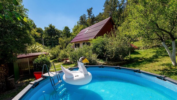 Une piscine agrémentée d’un cygne flottant, entourée d’une végétation luxuriante et bordée d’une maison au toit rouge.