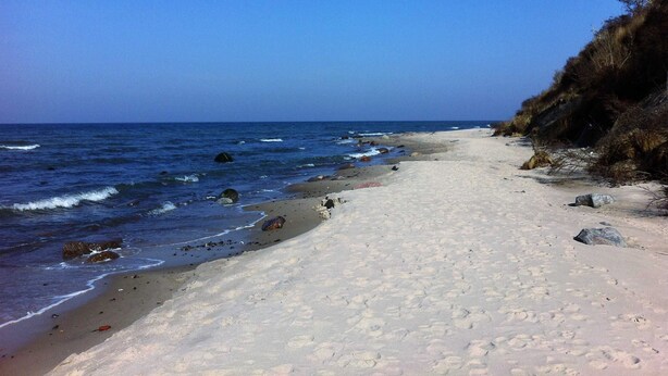 En sandstrand med klarblå himmel og rolig hav.