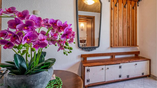 Een kamer met een houten bankje, een spiegel en een potorkidee.