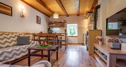 2 bedroom gorgeous home in Fuzine