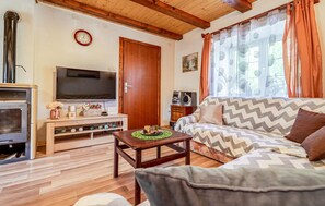 Televisión y chimenea 