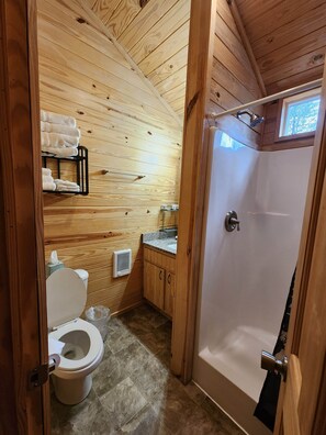 Hair dryer, towels, toilet paper