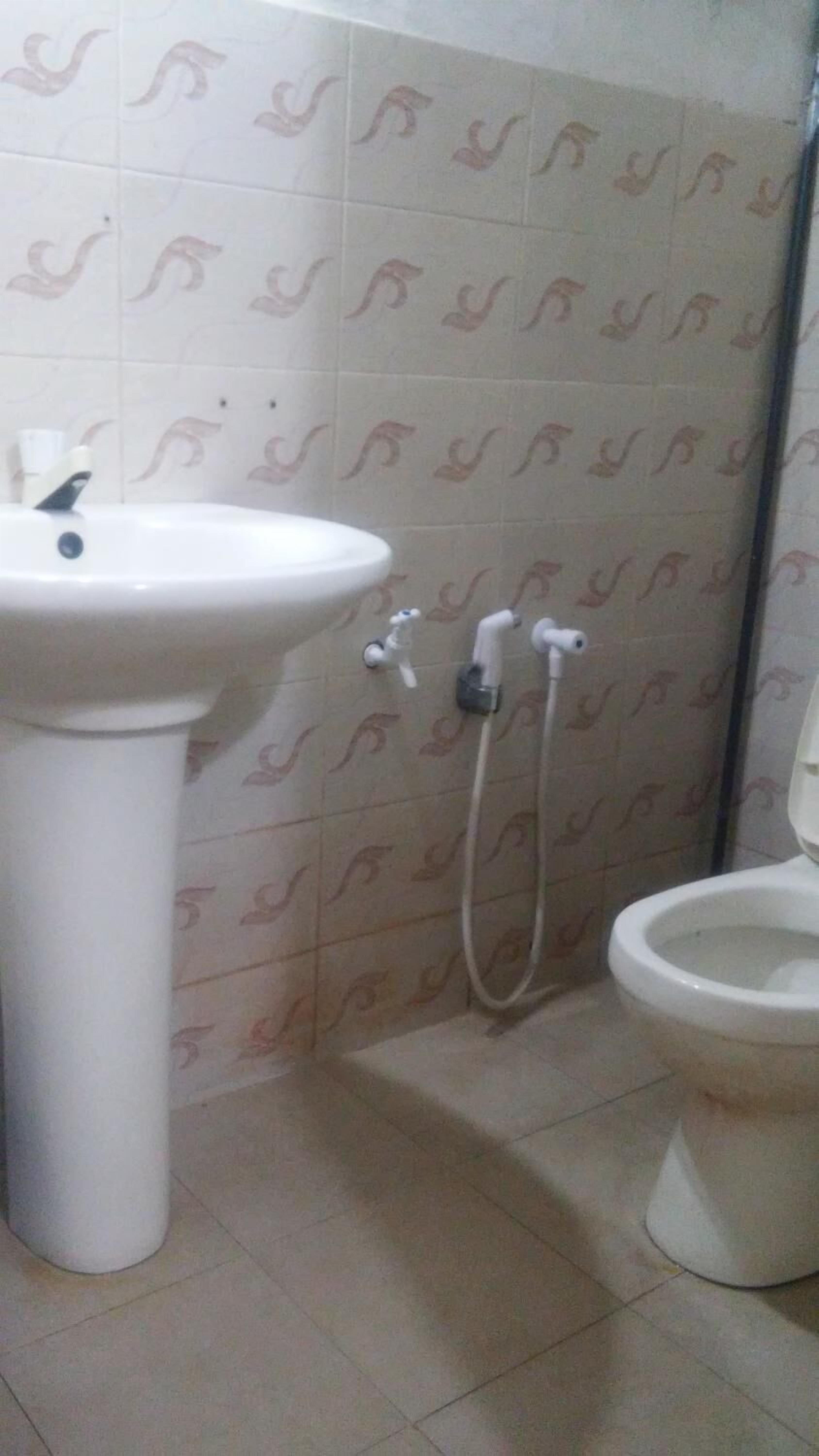 A bathroom with a white sink, a toilet, and a shower.