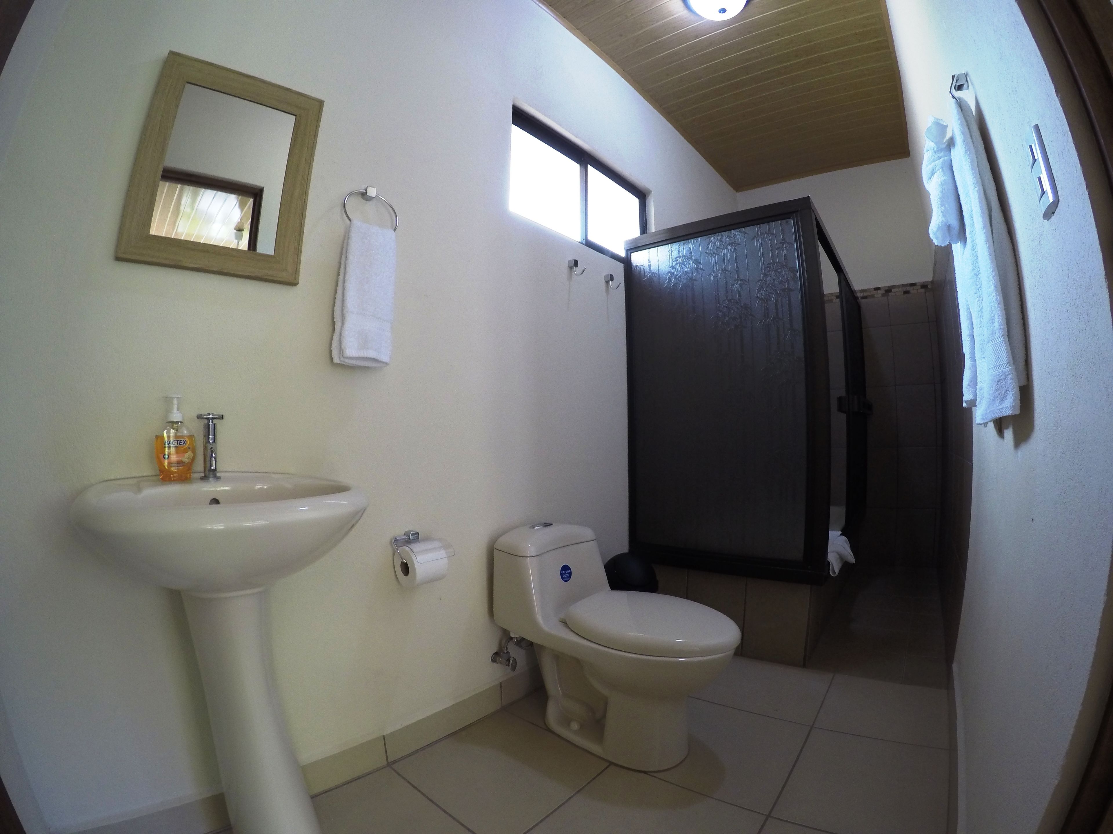 Shower, free toiletries, towels, soap