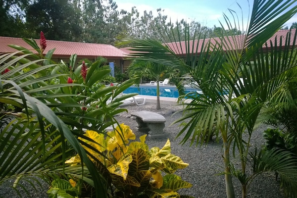 Outdoor pool, pool umbrellas
