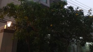 Depan hartanah