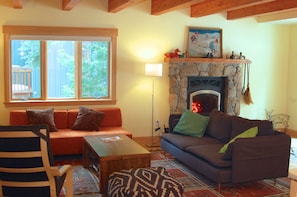 Smart TV, chimenea, reproductor de DVD y libros 
