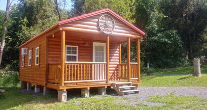 Red Top Cabin nur wenige Gehminuten vom Douglas Lake entfernt