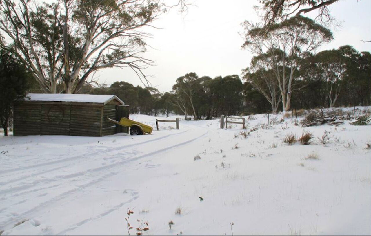 Rustic Log Cabin on 100 acres in the heart of the Snowy Mountains — image 19