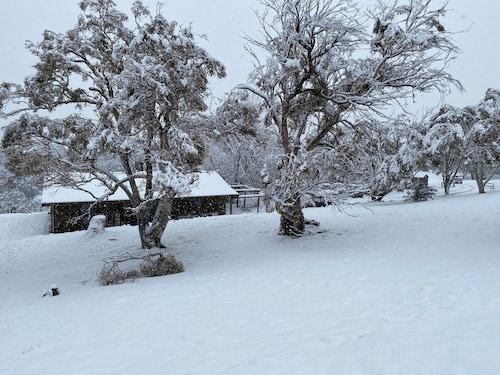 Rustic Log Cabin on 100 acres in the heart of the Snowy Mountains