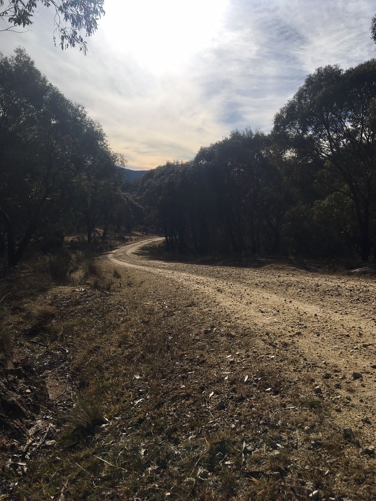 Rustic Log Cabin on 100 acres in the heart of the Snowy Mountains — image 14