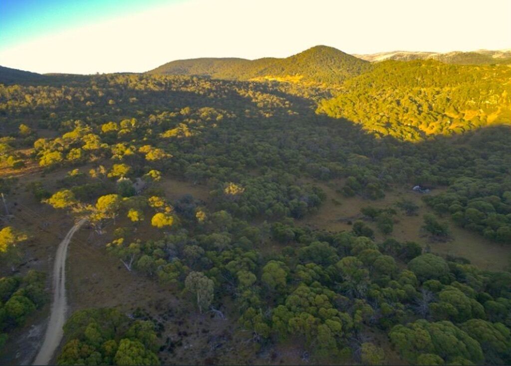 Rustic Log Cabin on 100 acres in the heart of the Snowy Mountains — image 15