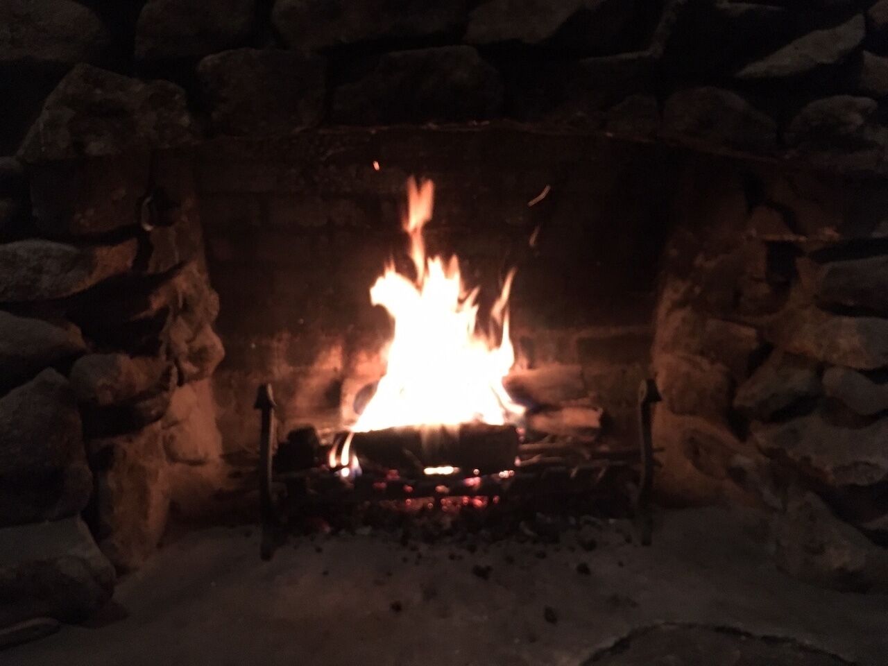 Rustic Log Cabin on 100 acres in the heart of the Snowy Mountains — image 21