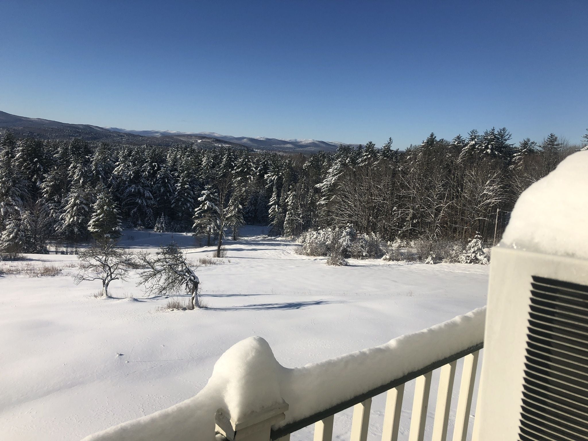 Paisatge nevat amb vista clara d'un bosc i muntanyes llunyanes.
