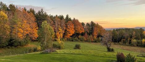 A grassy field with trees in autumn colors and a clear sky.