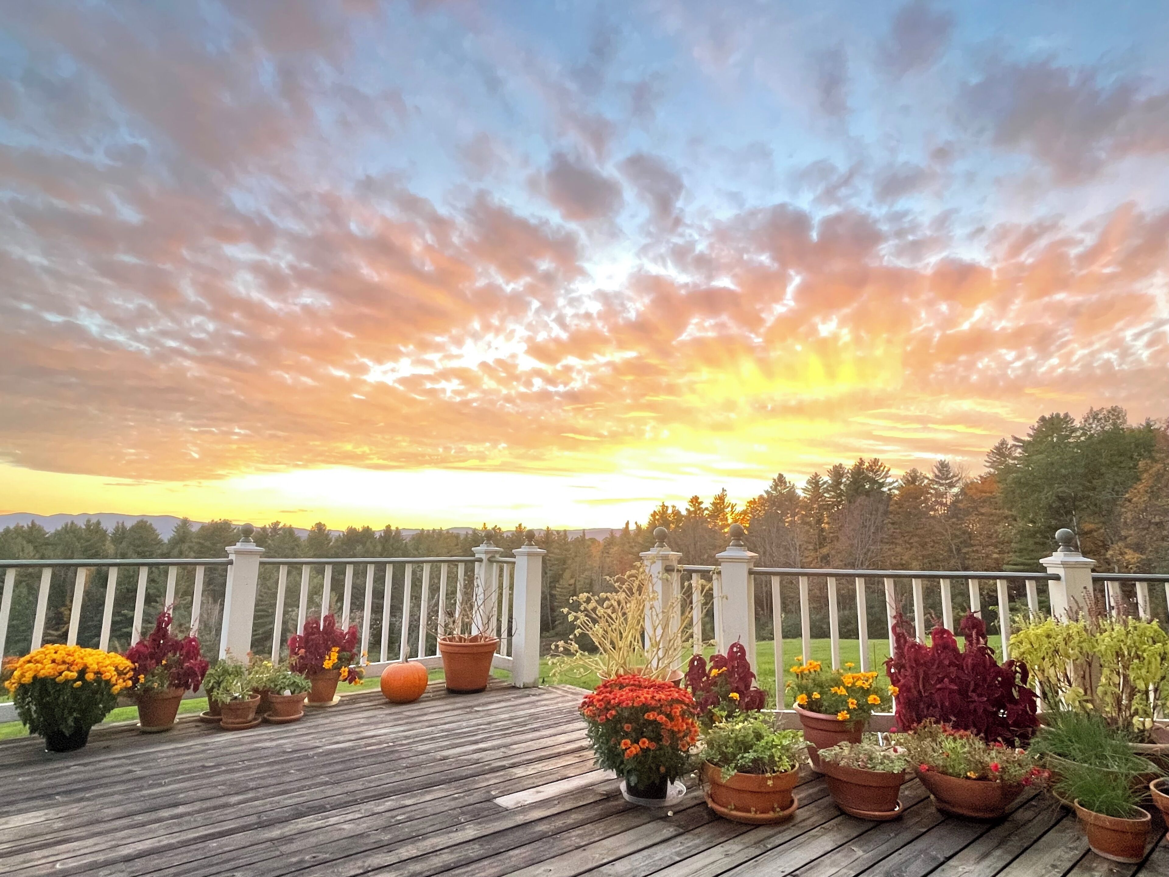 Mountain View King 2nd Floor | Terrace/patio