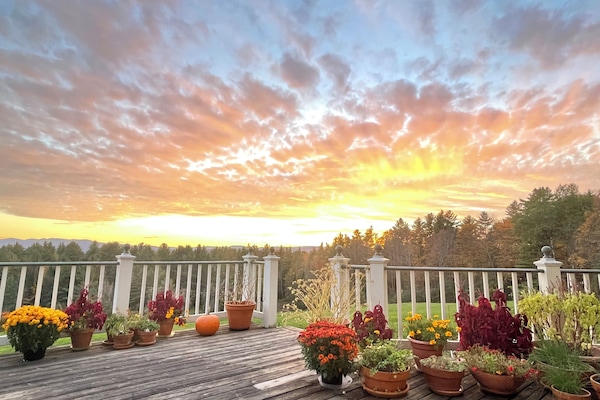 Mountain View King 2nd Floor | Terrace/patio