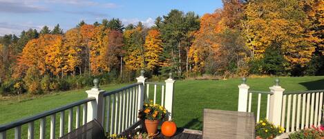 Mountain View Queen 2nd Floor | Terraço/pátio