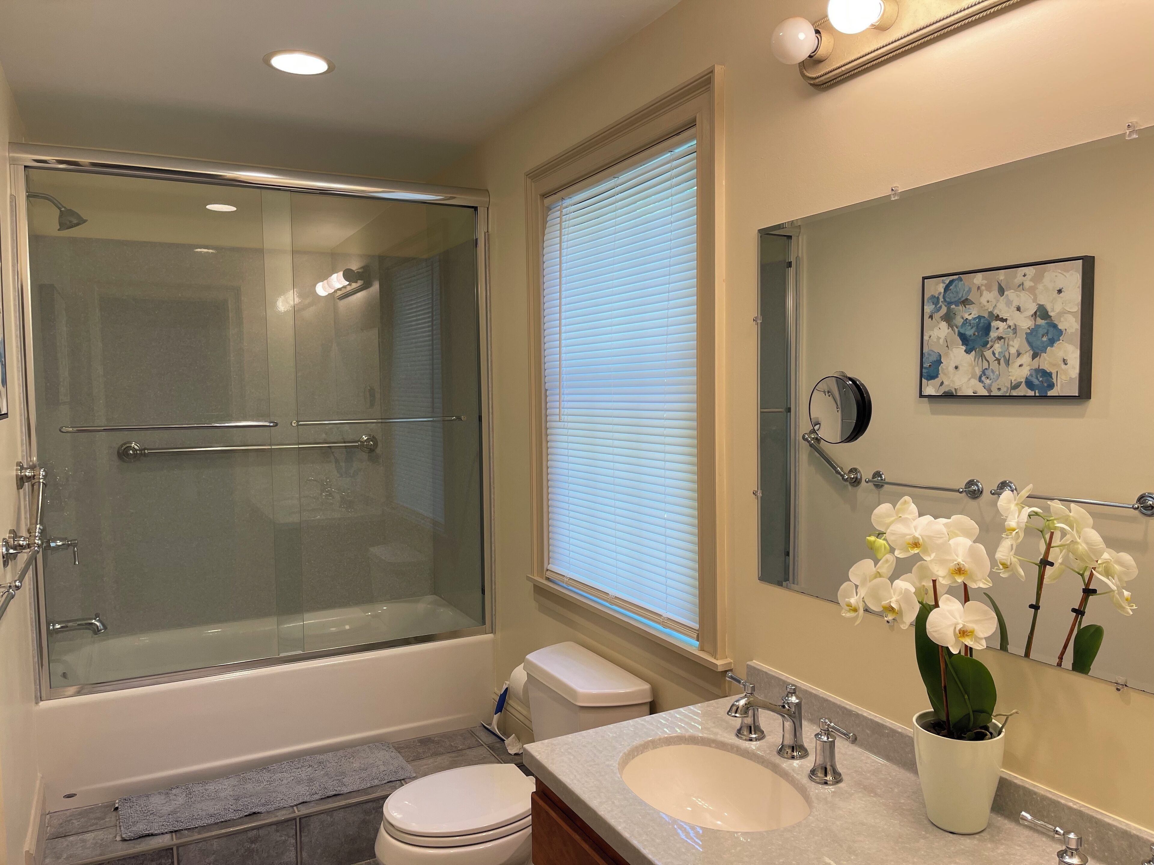 A modern bathroom with a glass-enclosed shower, a toilet, a sink with a mirror, and a potted orchid.