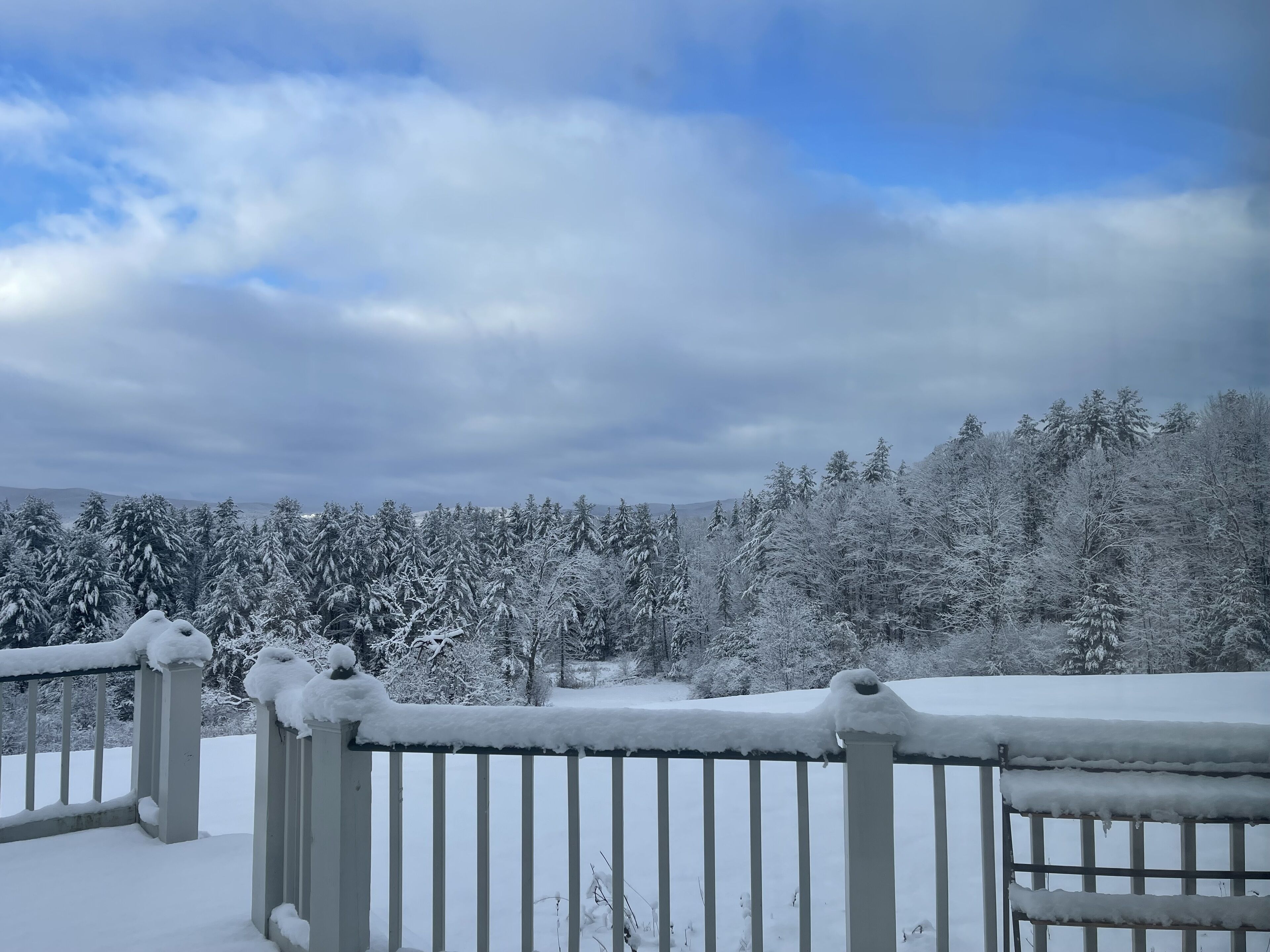 A snowy landscape with a wooden fence and snow-covered trees.