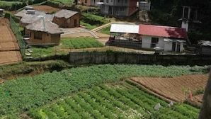 Jardín