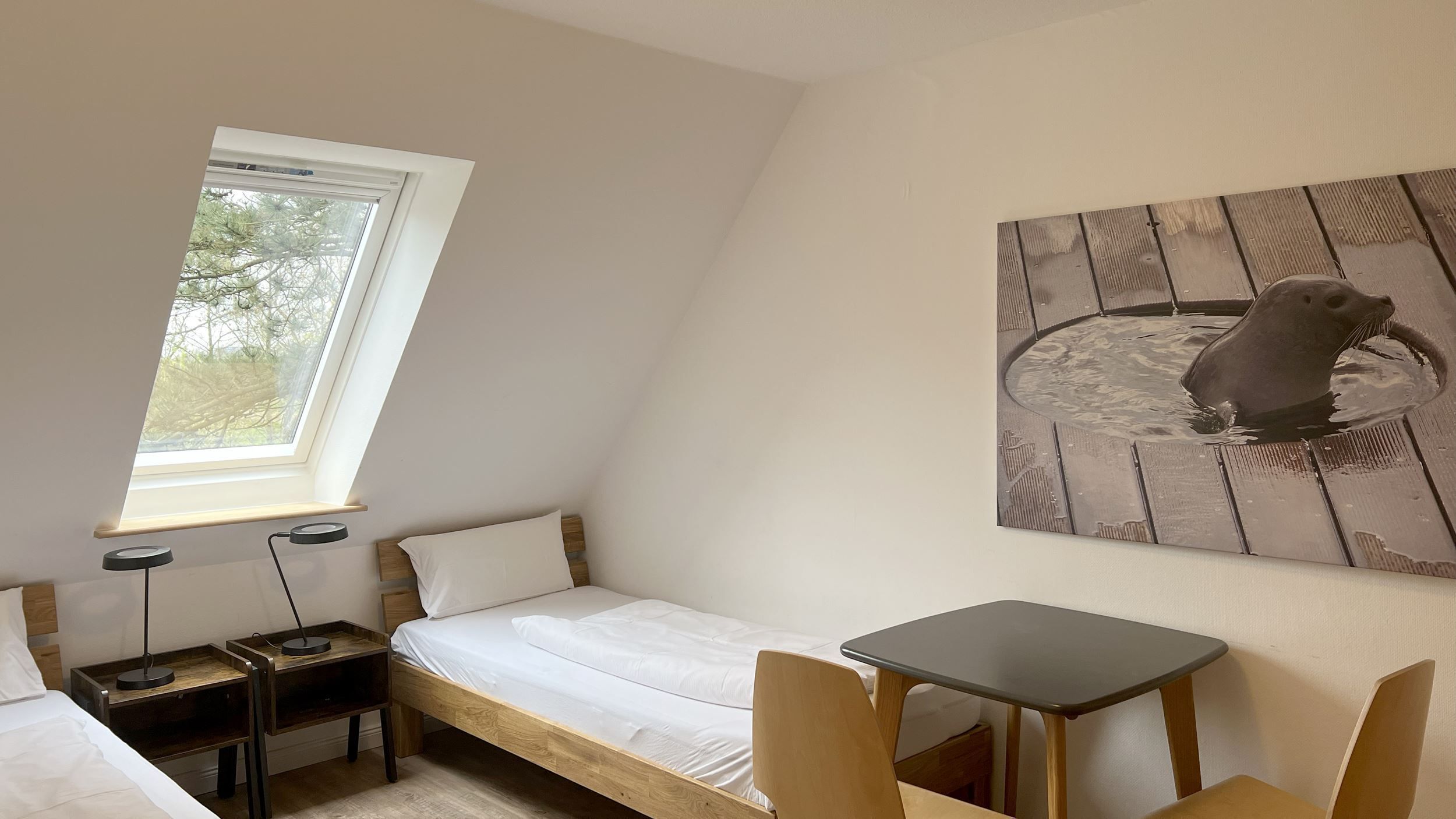 A small, single-bed room with a skylight, a desk, and a chair.