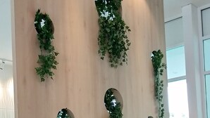 A bar area with wooden stools and a wall adorned with green plants and mirrors. - The Wood Boutique Hotel (Muar)