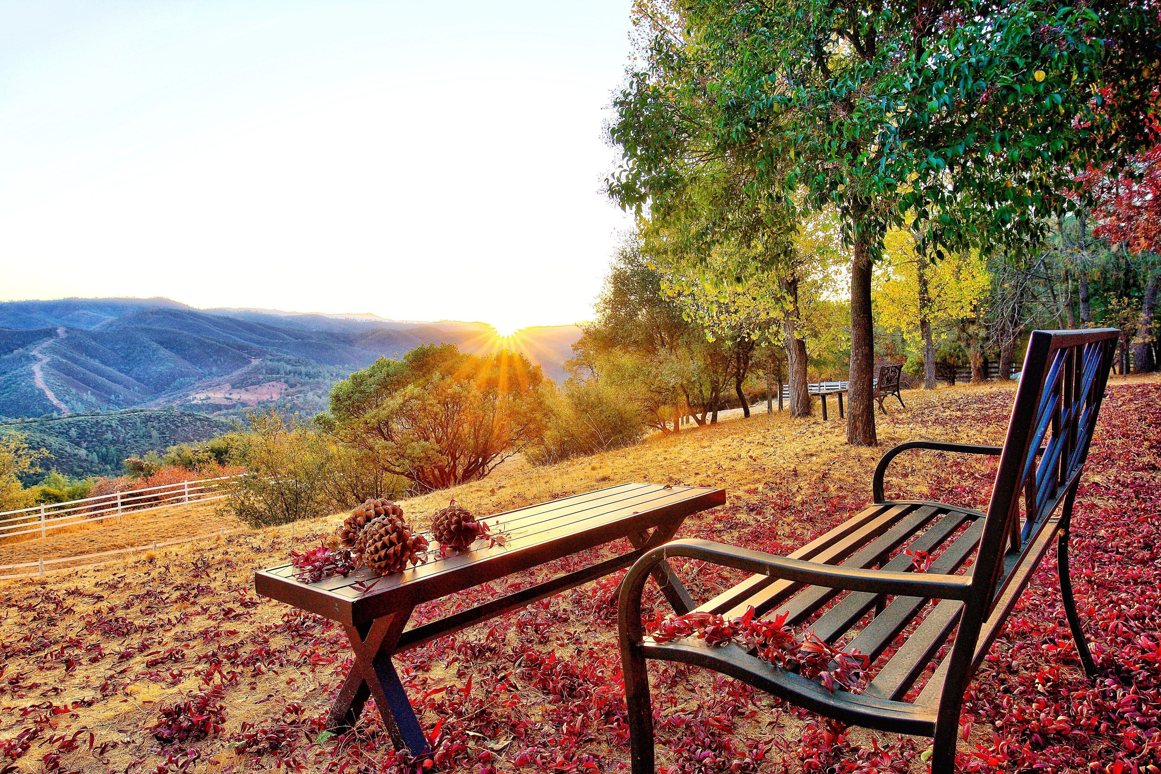 Stunning VIEWS and Private - Yosemite Gold Rush Ranch