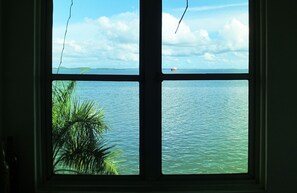Vista desde la habitación
