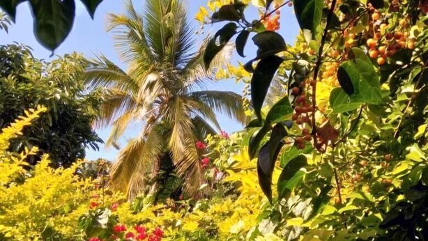 Jardín