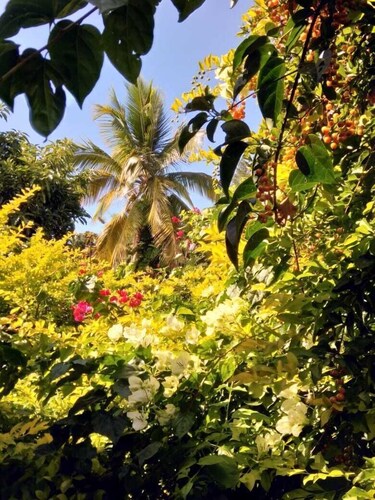 Villa Hélèna Chalets