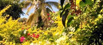 Villa Hélèna Chalets