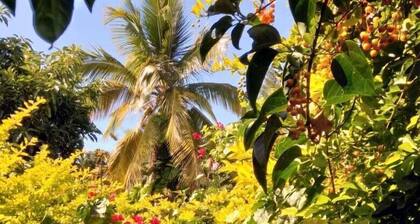 Villa Hélèna Chalets