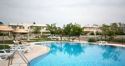 Important Group Turqouise Homes Beryl