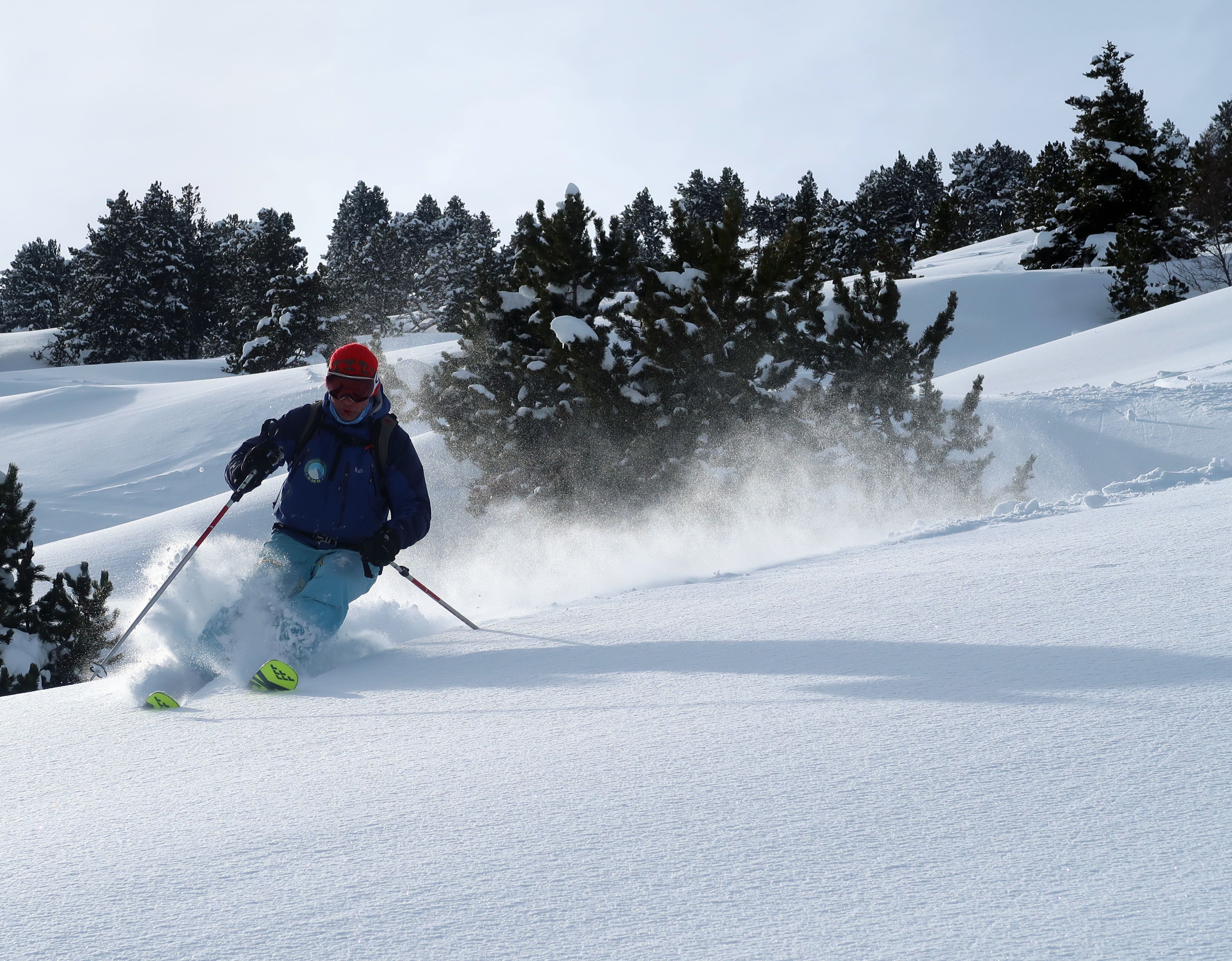 A person skiing down a snowy slope with trees in the background.
