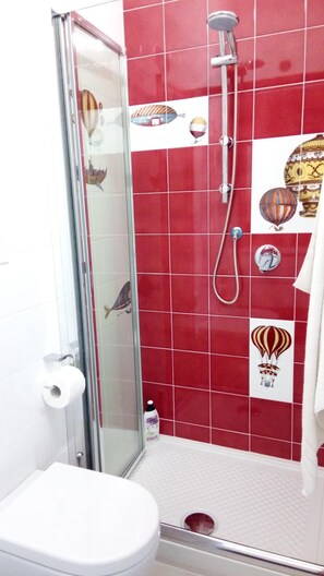Ducha, secador de pelo, bidé y toallas