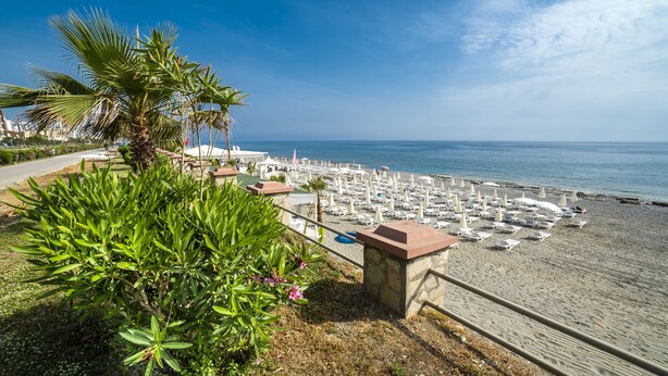 Una spiaggia con file di poltroncine bianche e ombrelloni, una palma e un cielo azzurro terso.