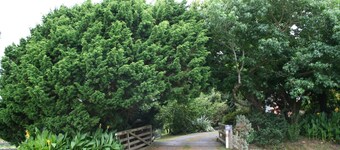 Berry View Cottage NEW - Waitomo Hobbiton Hamilton Gardens