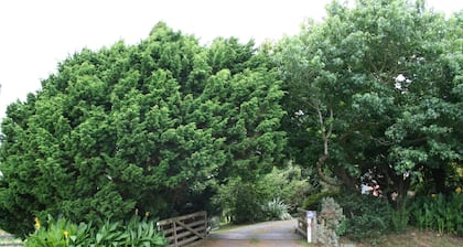 Berry View Cottage NUEVO - Waitomo Hobbiton Mystery Creek. ¡Desayuno gratis!