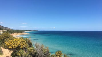 Playa en los alrededores, camastros y toallas de playa