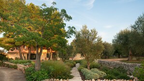 A stone pathway leading to a building surrounded by lush greenery and trees. - Calm and serenity in the heart of a nature reserve, 5 km from the sea. (Noto)