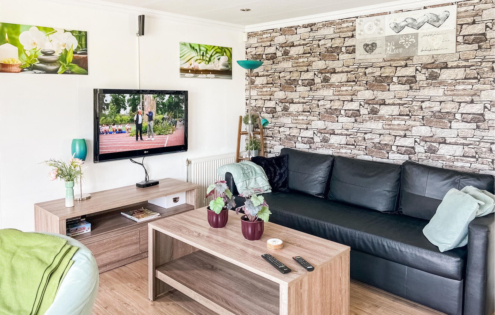 Televisión, reproductor de DVD