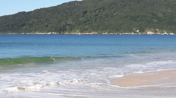 Sun-loungers - House 50 meters from the sand of Praia dos Ingleses or a 5-minute walk. (Florianópolis)